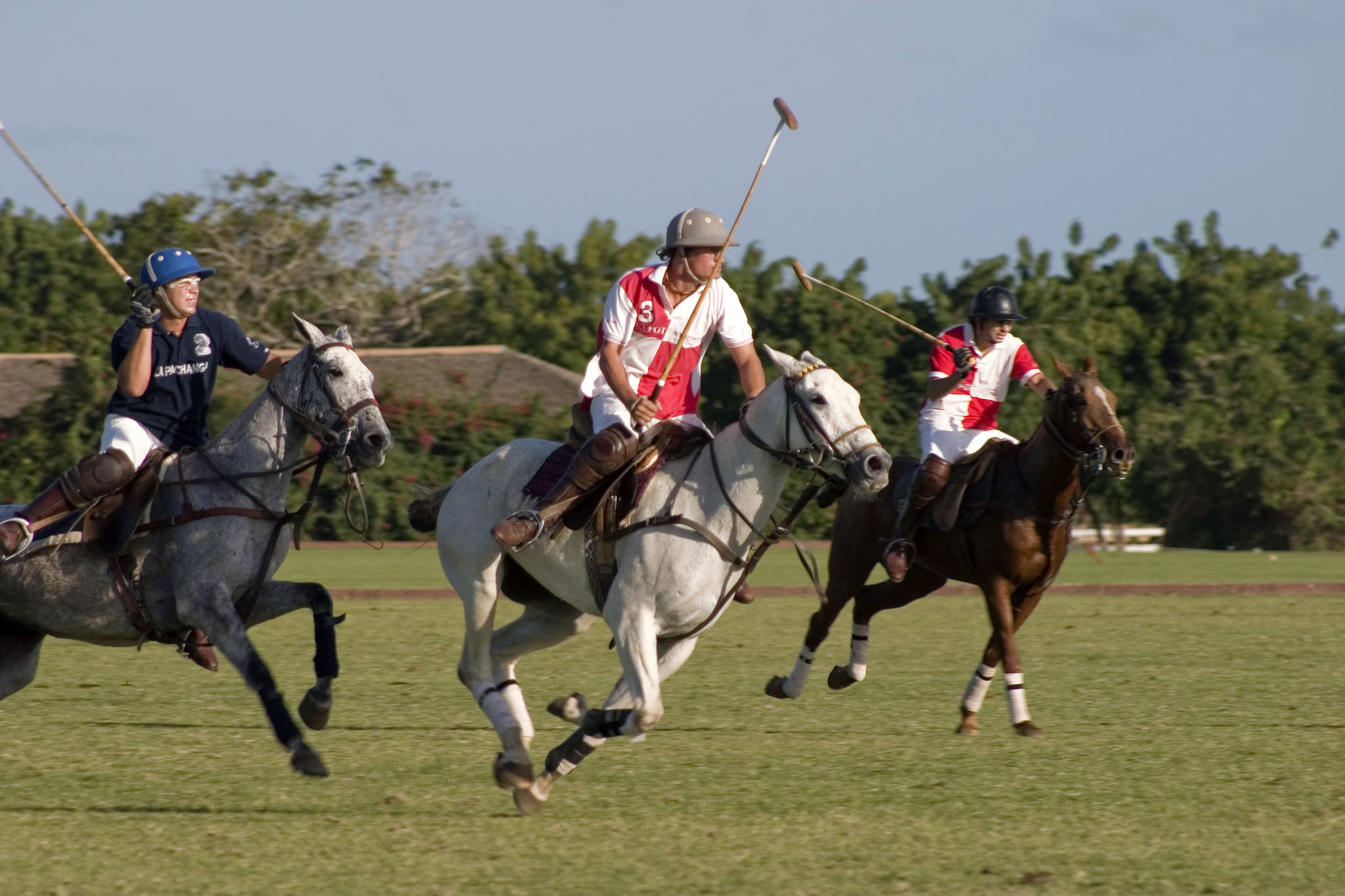 Polo in Casa de Campo